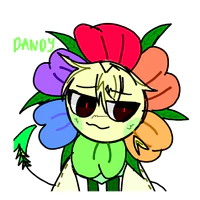 Dandy