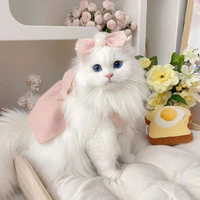 tác giả ạ