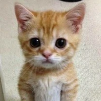 t/g kiêm  hệ thống