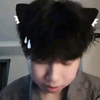 Nguyễn Hữu Đạt [phoenix]