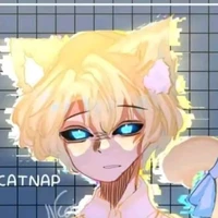 hiha anticatnap