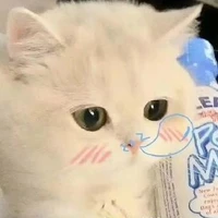 tg siu chu che