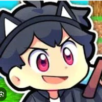 hachi fake