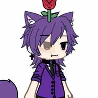 Hiha catnap
