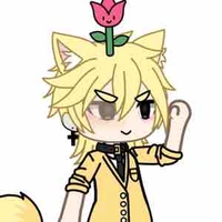 Hiha anti catnap