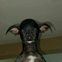 má nè con