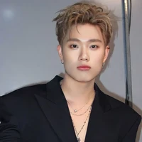 dương domic