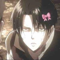 Levi ackerman 