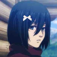 Mikasa ackerman 