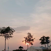tác giả