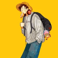 Monkey D Luffy 17t