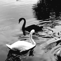 All