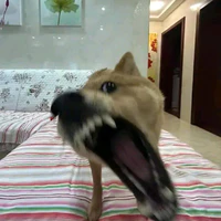 Tác giả
