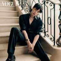 kim seokjin(y)