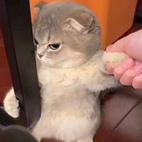 hướng nội part time