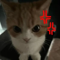 Park Ji-hye"T\g²"