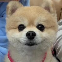 So-Ji"T\g³"