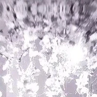 T/g