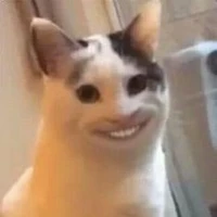t/g