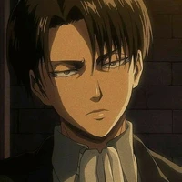 levi"zai đẹp 1m6"