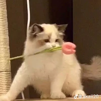 T/g siu dzz🌷🌽