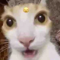 ?????