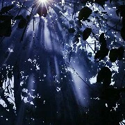 người lạ