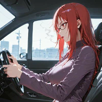 karin 