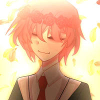 TT hiha