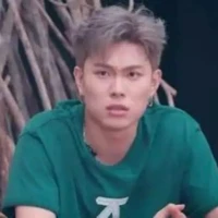 dương domic