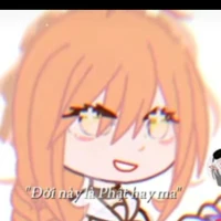 t/g