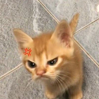 Tác giả bị lườiiiii