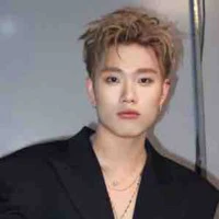 dương domic