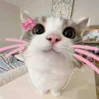 gờ hân • Gia Hân