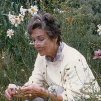 Bà Nuz (Bạn thân của bà Wing)