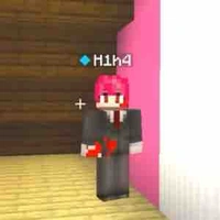 H1h4