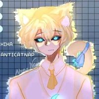 anti catnap 🎀