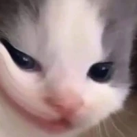 all(-ai thì trừ)🎀