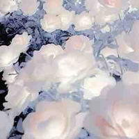 All”trừ ai thì trừ”