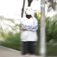 alpha