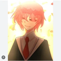 TT hiha