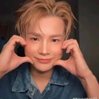 phạm đình thái ngân
