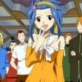levy
