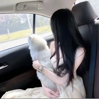 Liễu Hải Kỳ