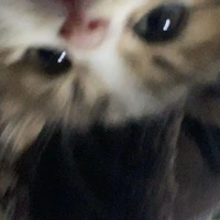 ad
