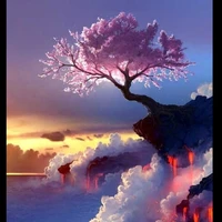 ALL