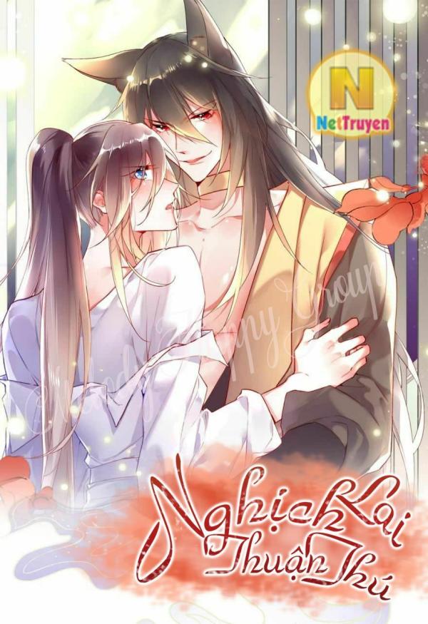 NovelToon