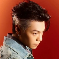 Vũ Trường Giang -  Gillian