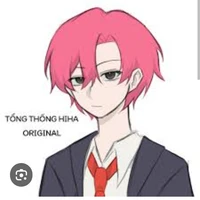 TT hiha 