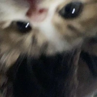 ad